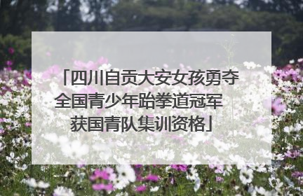 四川自贡大安女孩勇夺全国青少年跆拳道冠军 获国青队集训资格