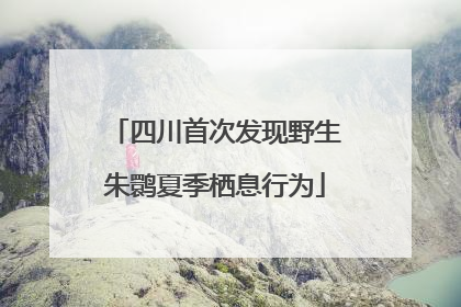 四川首次发现野生朱鹮夏季栖息行为