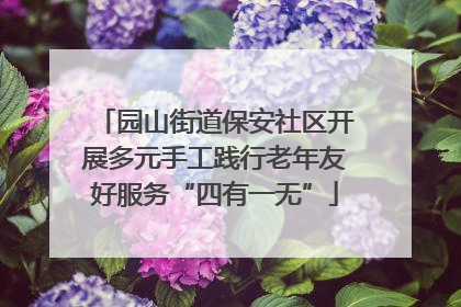 园山街道保安社区开展多元手工践行老年友好服务“四有一无”
