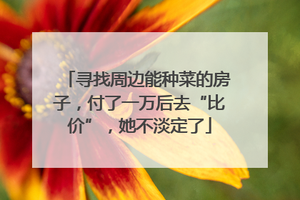 寻找周边能种菜的房子，付了一万后去“比价”，她不淡定了