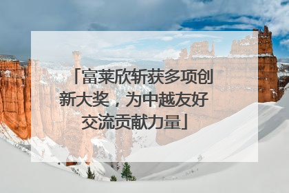 富莱欣斩获多项创新大奖，为中越友好交流贡献力量