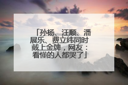 孙杨、汪顺、潘展乐、费立纬同时戴上金牌，网友：看懂的人都哭了