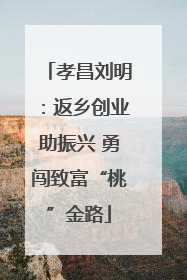 孝昌刘明：返乡创业助振兴 勇闯致富“桃”金路