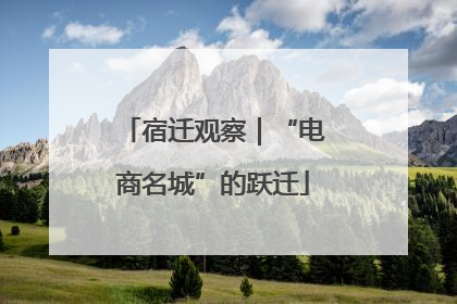 宿迁观察｜“电商名城”的跃迁