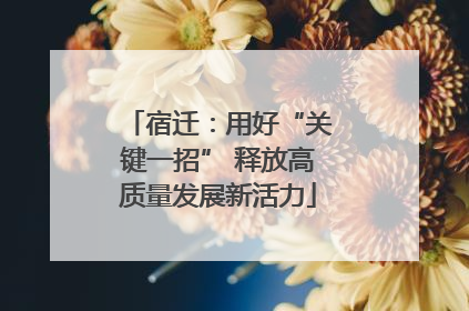宿迁：用好“关键一招” 释放高质量发展新活力