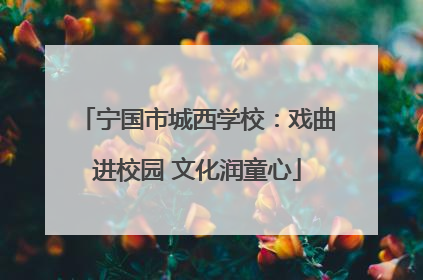 宁国市城西学校：戏曲进校园 文化润童心