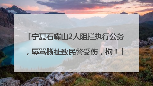 宁夏石嘴山2人阻拦执行公务，辱骂撕扯致民警受伤，拘！