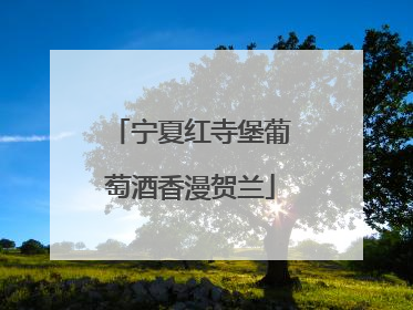 宁夏红寺堡葡萄酒香漫贺兰