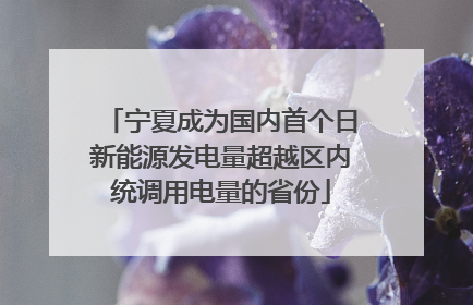 宁夏成为国内首个日新能源发电量超越区内统调用电量的省份