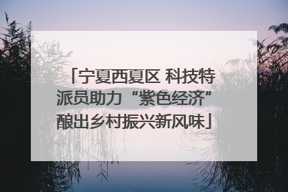 宁夏西夏区 科技特派员助力“紫色经济”酿出乡村振兴新风味