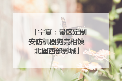 宁夏：景区定制安防机器狗亮相镇北堡西部影城