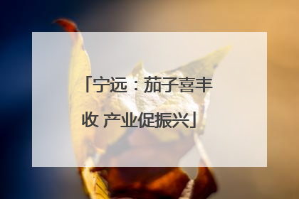 宁远：茄子喜丰收 产业促振兴