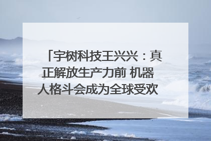 宇树科技王兴兴：真正解放生产力前 机器人格斗会成为全球受欢迎的赛事｜科技观察