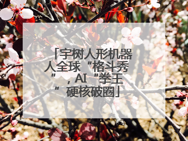 宇树人形机器人全球“格斗秀”，AI“拳王”硬核破圈