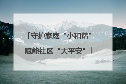守护家庭“小和谐” 赋能社区“大平安”