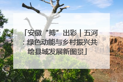 安徽“搏”出彩｜五河：绿色动能与乡村振兴共绘县域发展新图景