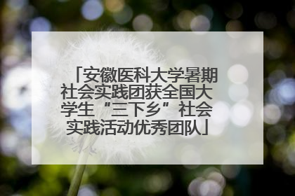 安徽医科大学暑期社会实践团获全国大学生“三下乡”社会实践活动优秀团队