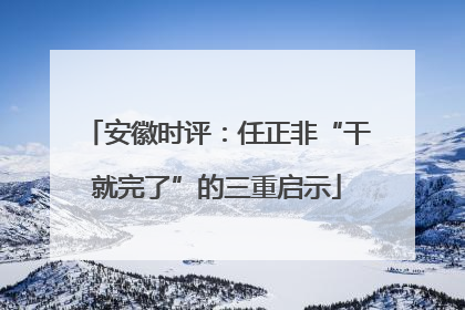 安徽时评：任正非“干就完了”的三重启示