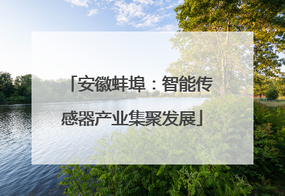 安徽蚌埠：智能传感器产业集聚发展
