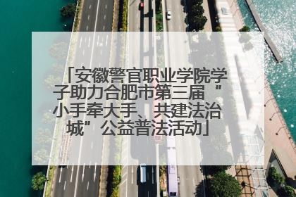 安徽警官职业学院学子助力合肥市第三届“小手牵大手、共建法治城”公益普法活动