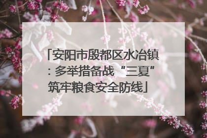 安阳市殷都区水冶镇：多举措备战“三夏” 筑牢粮食安全防线