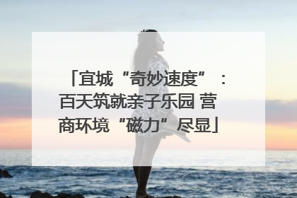 宜城“奇妙速度”：百天筑就亲子乐园 营商环境“磁力”尽显
