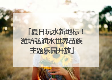 夏日玩水新地标！潍坊弘润水世界苗族主题乐园开放