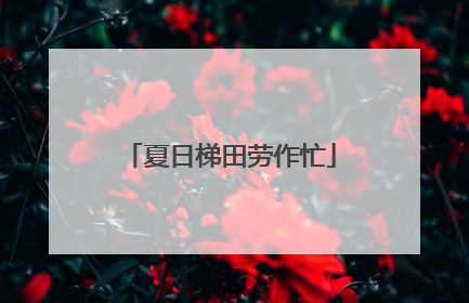 夏日梯田劳作忙