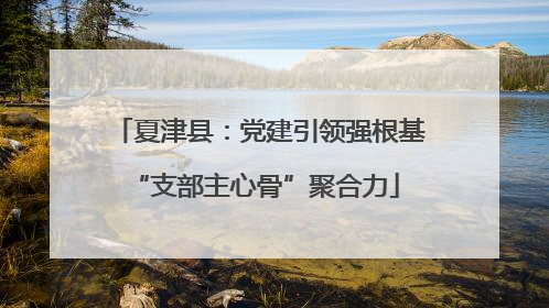 夏津县：党建引领强根基 “支部主心骨”聚合力