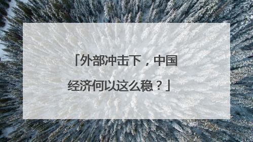 外部冲击下，中国经济何以这么稳？
