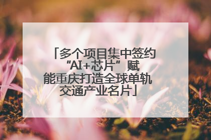 多个项目集中签约 “AI+芯片”赋能重庆打造全球单轨交通产业名片