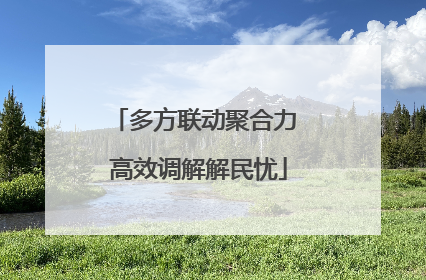 多方联动聚合力 高效调解解民忧