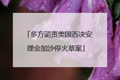 多方谴责美国否决安理会加沙停火草案