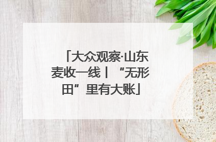 大众观察·山东麦收一线丨“无形田”里有大账