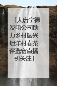 大唐宁德发电公司助力乡村振兴坦洋村春茶评选赛直播引关注
