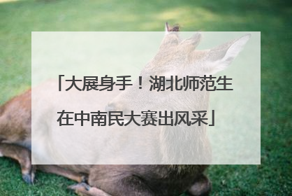 大展身手！湖北师范生在中南民大赛出风采