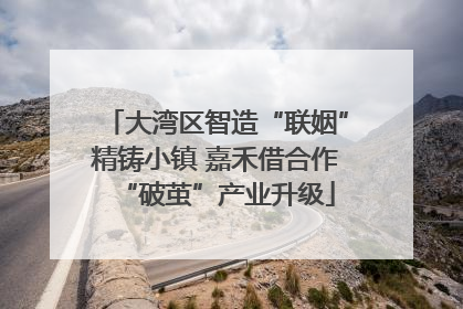 大湾区智造“联姻”精铸小镇 嘉禾借合作“破茧”产业升级