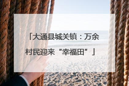 大通县城关镇：万余村民迎来“幸福田”