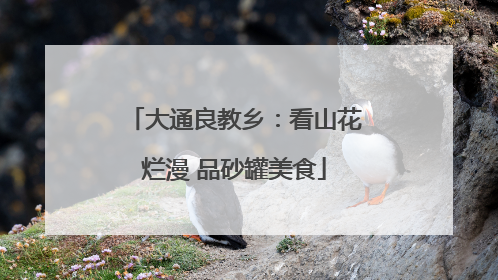 大通良教乡：看山花烂漫 品砂罐美食