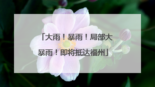 大雨！暴雨！局部大暴雨！即将抵达福州