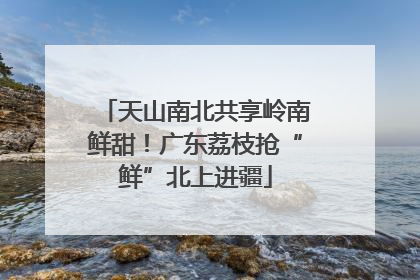 天山南北共享岭南鲜甜！广东荔枝抢“鲜”北上进疆