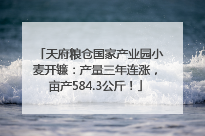 天府粮仓国家产业园小麦开镰：产量三年连涨，亩产584.3公斤！