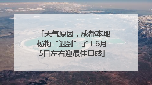 天气原因，成都本地杨梅“迟到”了！6月5日左右迎最佳口感
