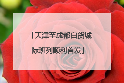 天津至成都白货城际班列顺利首发