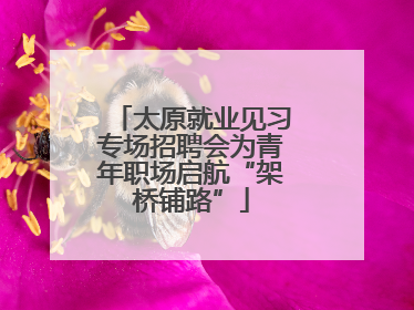 太原就业见习专场招聘会为青年职场启航“架桥铺路”