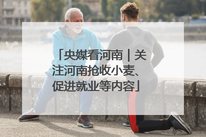 央媒看河南｜关注河南抢收小麦、促进就业等内容