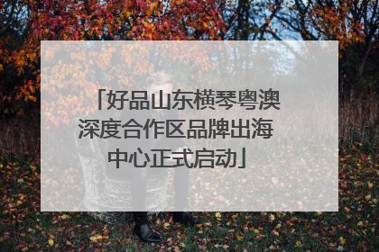 好品山东横琴粤澳深度合作区品牌出海中心正式启动
