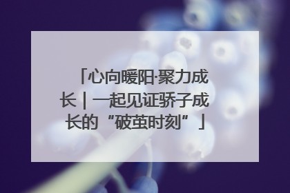 心向暖阳·聚力成长｜一起见证骄子成长的“破茧时刻”