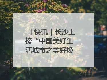 快讯｜长沙上榜“中国美好生活城市之美好焕新典范城市”