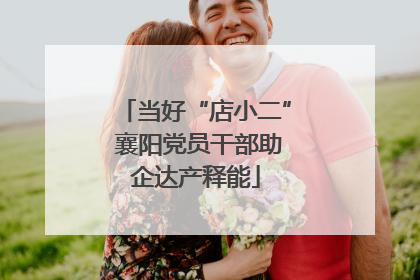 当好“店小二” 襄阳党员干部助企达产释能